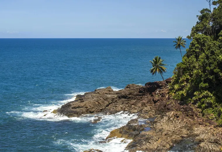 Itacaré coastline with ocean, rocks, forest and palm trees.